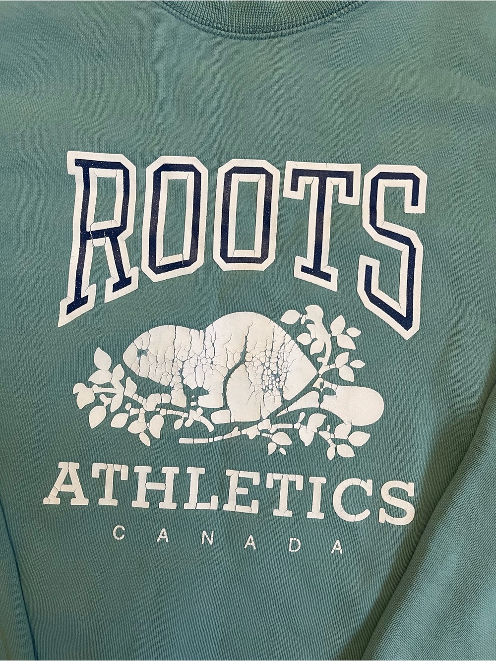 VTG Roots Athletics Canada Beaver Logo Crewneck Green Fits Like Medium - Picture 2 of 10